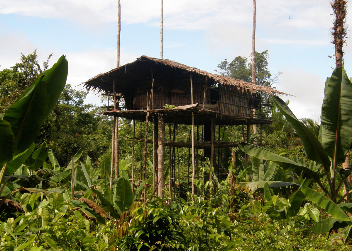 Mãi tới năm 1974, thế giới mới biết đến bộ lạc Korowai ở Papua, Indonesia. Đây là một trong những bộ lạc bí ẩn nhất thế giới và không mấy thân thiện với "người lạ". Ảnh: cam.ac.uk.