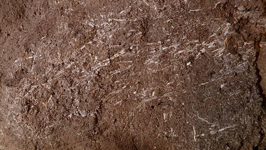 Vào khoảng 200.000 năm trước, con người đã sinh sống trong một hang động ngày nay thuộc khu vực KwaZulu-Natal, Nam Phi. Tại địa điểm khảo cổ này, các chuyên gia đã tìm thấy nhiều hiện vật liên quan đến con người thời kỳ Đồ đá. Ảnh: Wadley et al.