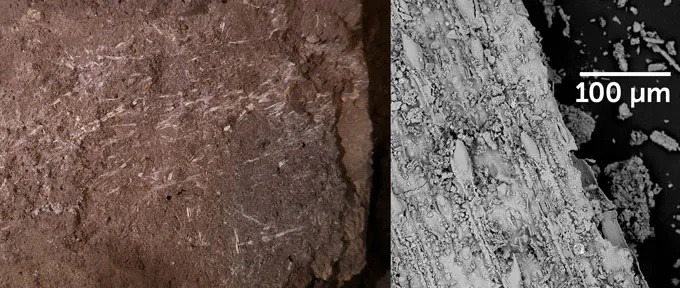 Hơn nữa, trầm tích cho thấy các lớp thực vật và tro lặp lại cho thấy những vật liệu tự nhiên này được sử dụng để xây dựng một bề mặt sạch riêng biệt trên nền đất. Ảnh: Lucinda Backwell, via Wikimedia Commons.