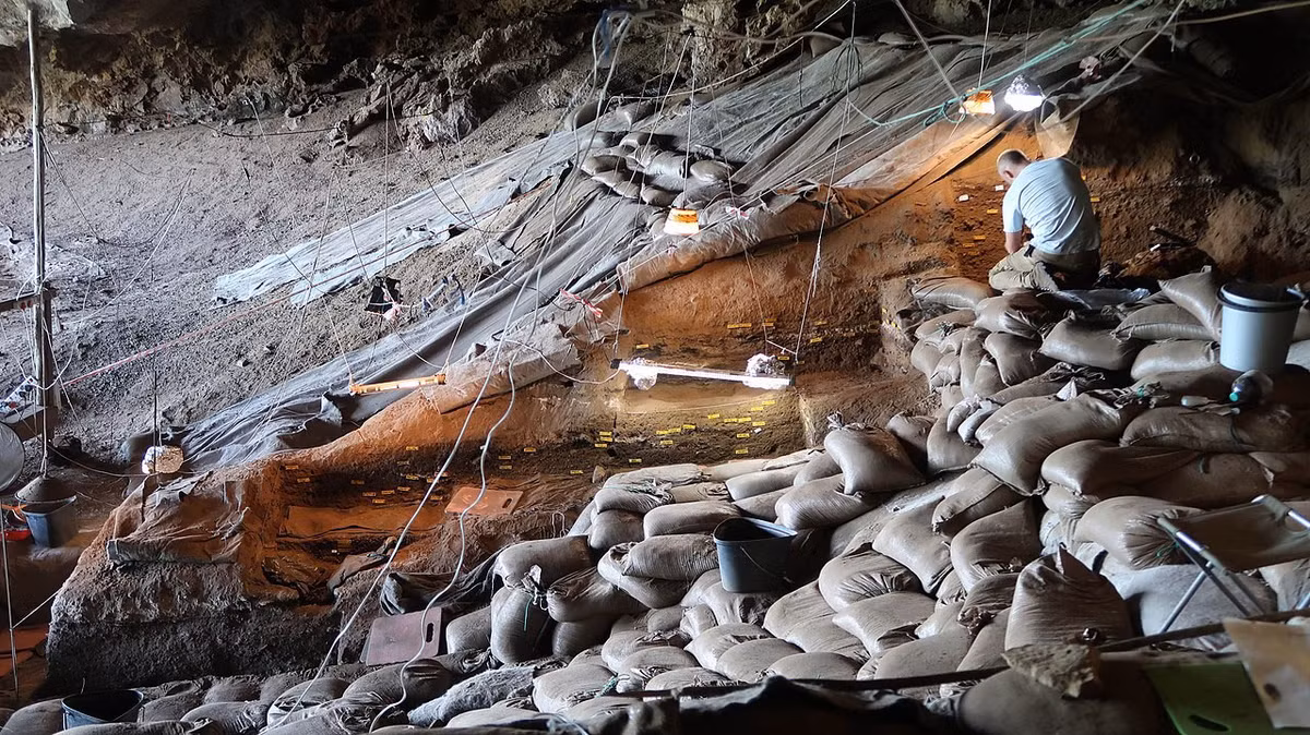 Theo nhà khảo cổ Wadley, lượng lớn vật chất thực vật được tìm thấy tại địa điểm khảo cổ này cho thấy chúng cố tình được đưa vào bên trong hang động. Ảnh: L. Wadley.