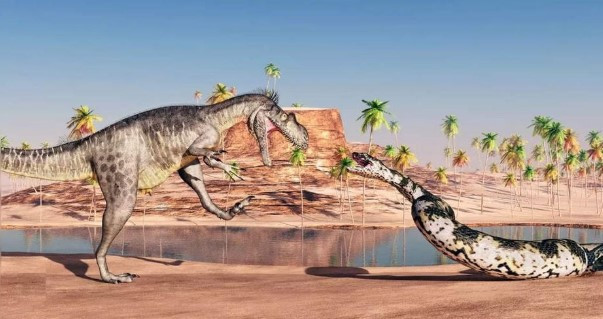 Dựa vào tình trạng hóa thạch, nhóm nghiên cứu nhận định Vasuki indicus nhiều khả năng là một loài bán thủy sinh. Chúng hoạt động trong cùng khu vực với cá đuối, cá da trơn, cá sấu hoặc cá voi nguyên thủy. Ảnh: civilsdaily.