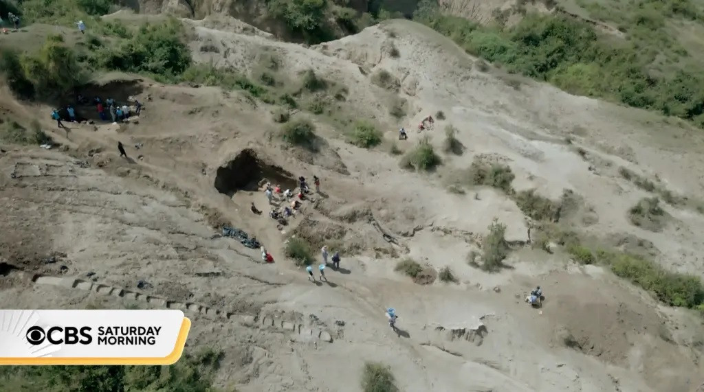 Nhà khảo cổ học Tom Plummer cho hay những công cụ bằng đá giúp loài vượn người tiếp cận với nhiều loại thực phẩm mà trước đây họ chưa từng tiếp xúc. Điều này giúp họ phát triển kích thước cơ thể và não. Ảnh: CBS Saturday Morning.