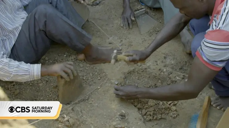 Nhà khảo cổ học Tom Plummer cho hay những công cụ bằng đá giúp loài vượn người tiếp cận với nhiều loại thực phẩm mà trước đây họ chưa từng tiếp xúc. Điều này giúp họ phát triển kích thước cơ thể và não. Ảnh: CBS Saturday Morning.