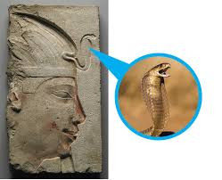 Vào thời cổ đại, người Ai Cập xem rắn như là một vị thần linh tối thượng. Đó là vị thần hộ mệnh cho các pharaoh Ai Cập. Vậy nên, vương miện của các pharaoh Ai Cập thường chạm trổ hình rắn Naja bằng vàng hay đá quý. Ảnh: Carlos.emory.edu.