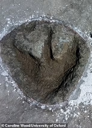 Thông qua nghiên cứu kích thước, hình dạng và vị trí của các dấu chân có thể cung cấp thông tin cho các nhà khoa học biết cách những con khủng long di chuyển hay tốc độ của chúng.