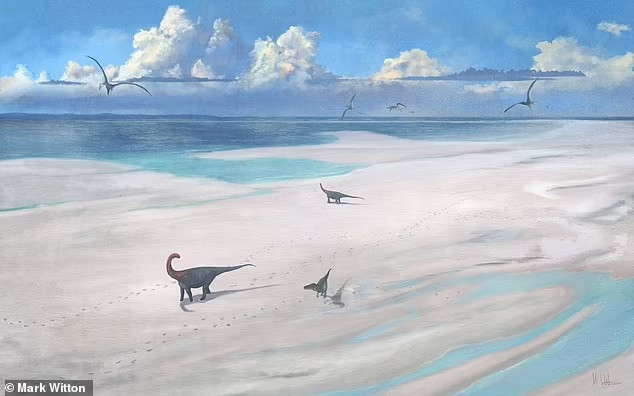 Theo các chuyên gia, khoảng 200 dấu chân khủng long được phát hiện. Chúng tạo thành 5 đoạn đường được coi là "xa lộ khủng long", với đoạn dài nhất là 150m. Bốn trong 5 đoạn đường được cho là dấu chân của loài khủng long cổ dài Cetiosaurus. Trong khi đó, đoạn còn lại có dấu vết của loài khủng long ăn thịt Megalosaurus dài 9m.