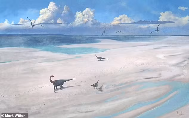 Theo các chuyên gia, khoảng 200 dấu chân khủng long được phát hiện. Chúng tạo thành 5 đoạn đường được coi là "xa lộ khủng long", với đoạn dài nhất là 150m. Bốn trong 5 đoạn đường được cho là dấu chân của loài khủng long cổ dài Cetiosaurus. Trong khi đó, đoạn còn lại có dấu vết của loài khủng long ăn thịt Megalosaurus dài 9m.