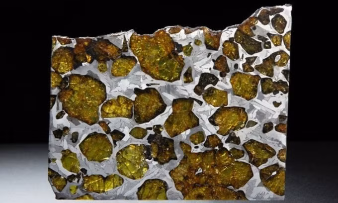 Chondrite là vật liệu có từ khi hệ Mặt Trời hình thành. Chúng ít khi thay đổi so với đá từ các hành tinh lớn hơn, có thể hé lộ nhiều thông tin về quá trình hệ Mặt Trời hình thành. Ảnh: Fossilera.