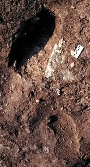 Dù đã thực hiện nhiều nghiên cứu nhưng đến nay, các chuyên gia vẫn chưa thể lý giải vì sao giống vượn người đi bằng hai chân để lại dấu vết ở miệng núi lửa. Ảnh: Paolo Mietto and Marco Avanzini.