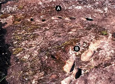 Nhiều chuyên gia, nhà khảo cổ đã thực hiện các nghiên cứu, kiểm tra những dấu chân hóa thạch đó. Qua đó, họ xác định chúng có niên đại khoảng 350.000 tuổi và có thể thuộc về một giống vượn người đi bằng hai chân. Ảnh: Paolo Mietto and Marco Avanzini.