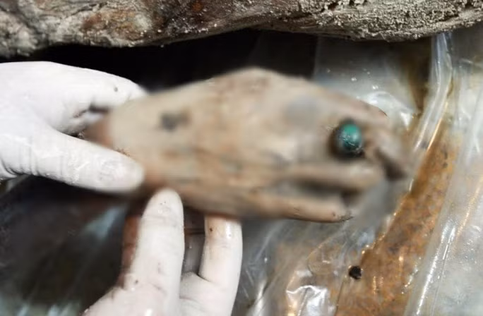 Từ đây, giới chuyên gia bắt tay vào nghiên cứu nhằm giải mã vì sao 2 thi hài được chôn cất trong mộ cổ nhà Minh không phân hủy theo thời gian. Ảnh: Gu Xiangzhong, Xinhua/Corbis.