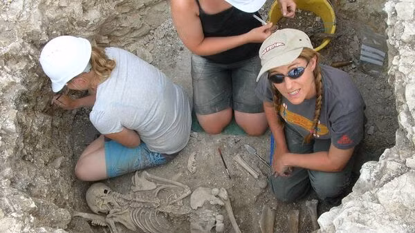 Mối quan hệ mẹ con trong cộng đồng người Celtic thường đóng vai trò quan trọng trong việc quyết định ai sẽ được chôn cất tại nghĩa trang Durotriges cụ thể. Ảnh: irishexaminer.