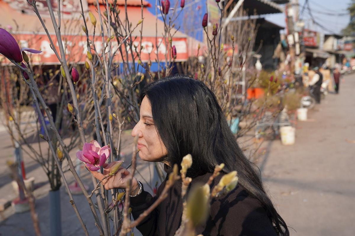 Vị trí trồng cây hoa mộc lan phải là nơi có thể nhận nhiều ánh sáng Mặt trời trong ngày để chúng phát triển tốt. Ảnh: Hà Nội Mới.