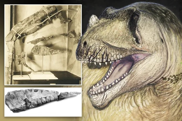 Các nhà khoa học Đức lần đầu tiên phát hiện hóa thạch của loài khủng long Tameryraptor markgrafi tại ốc đảo Bahariya ở Sa mạc phía Tây Ai Cập vào năm 1914. Ảnh: Kellermann et al.