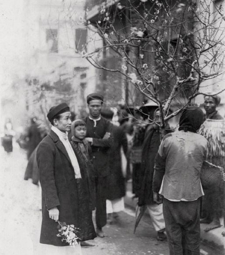 Hoa đào khoe sắc trong dịp Tết. Nhiều gia đình mua một cành đào bày trí trong nhà.