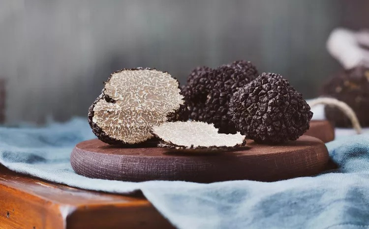 Loài nấm truffle là loại nấm quý và hiếm nhất trong các loại nấm được dùng để chế biến thực phẩm. Chúng còn được ca ngợi như viên kim cương trong thế giới ẩm thực. Ảnh: Adobe Stock/larionovao.