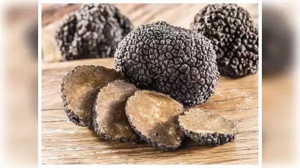 Nguyên do là bởi nấm truffle lớn hơn sẽ giữ được nhiều độ ẩm hơn so với nấm nhỏ. Độ ẩm của nấm truffle càng nhiều thì hương vị của nấm càng đậm đà. Ảnh: timesofindia.
