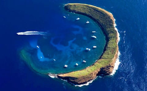 Không chỉ là nơi neo đậu cho tàu thuyền tránh bão, đảo Molokini còn là nơi có những rạn san hô tuyệt đẹp cùng nhiều loài động thực vật quý hiếm phân bố trên hòn đảo. Ảnh: fourwindsmaui.