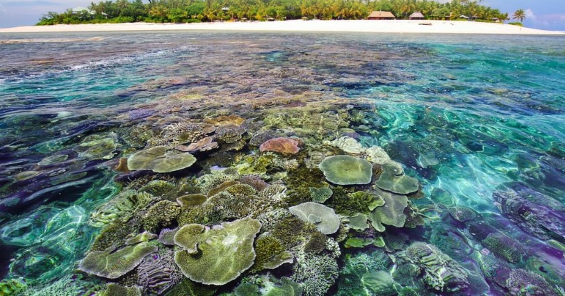 Trên đảo Tavarua có đầy đủ dịch vụ từ ăn uống, nghỉ ngơi đến vui chơi để du khách có thể tận hưởng một chuyên du lịch tuyệt vời nhất. Ảnh: tavarua.com.