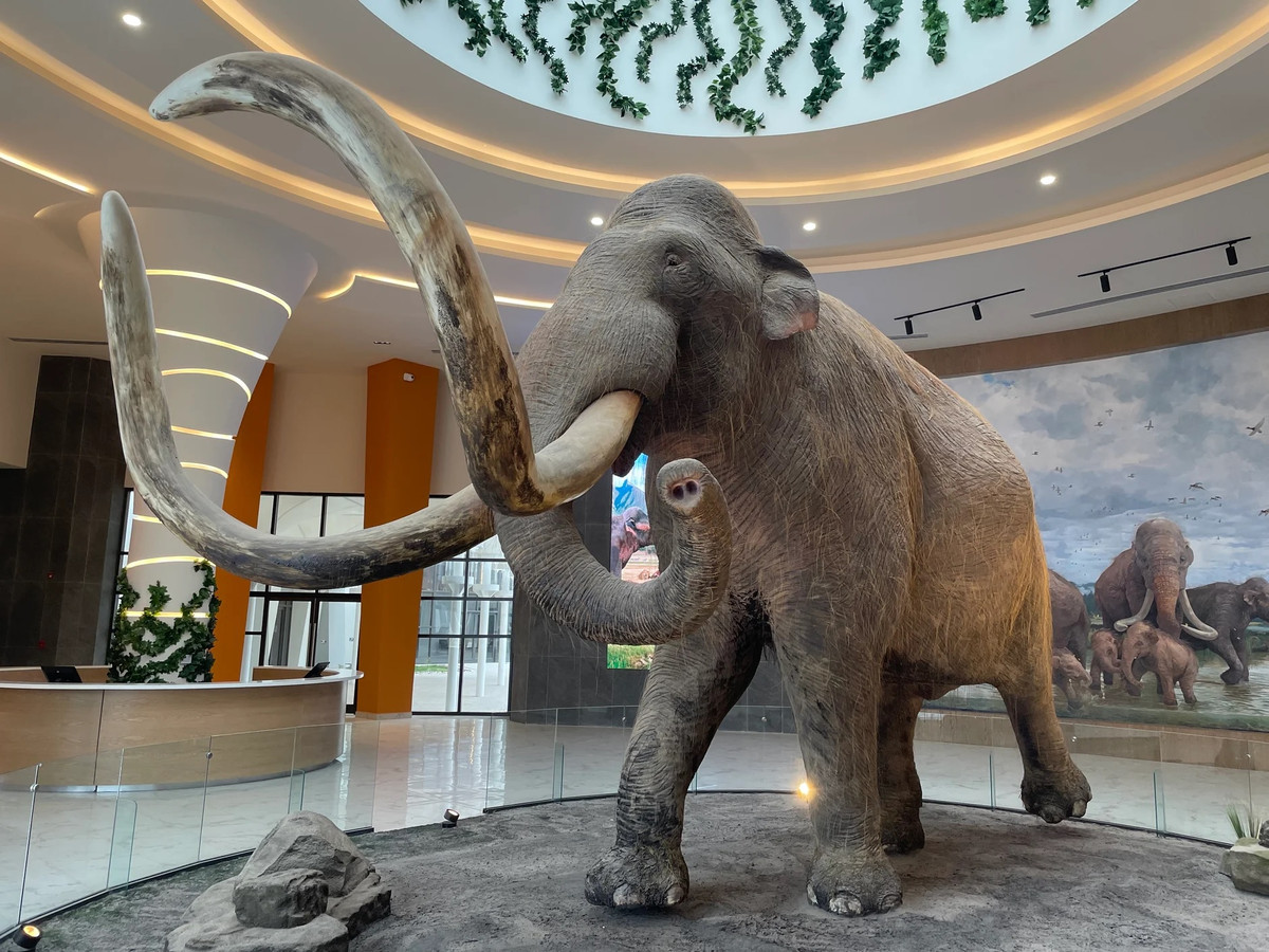 Các chuyên gia đã đưa ra giả thuyết những con voi ma mút có thể đã chết sau khi bị mắc kẹt trong bùn xung quanh hồ. Họ đặt ra câu hỏi không biết liệu con người thời tiền sử có hưởng lợi từ sự bất hạnh của những con vật khổng lồ này hay thậm chí là thúc đẩy nó xảy ra nhanh hơn hay không. Ảnh: Cody Copeland/Courthouse News.