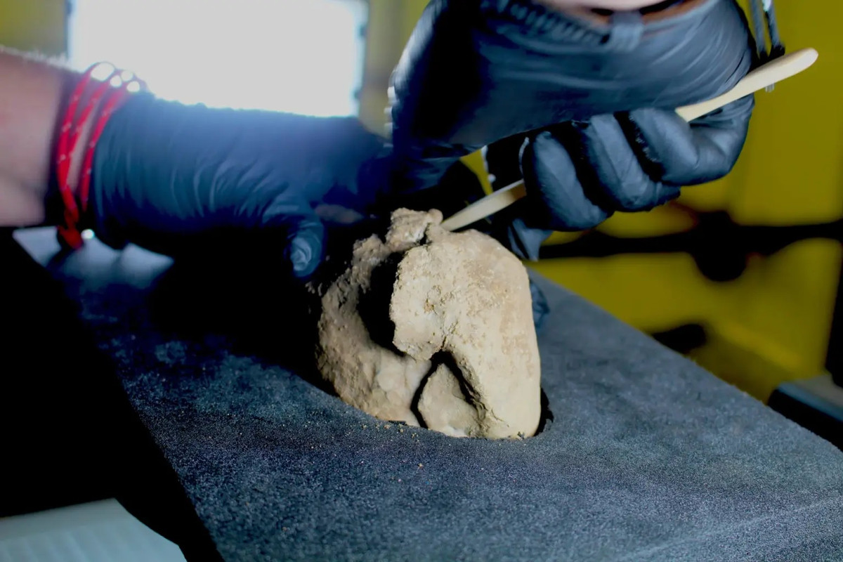 Alexander Bliss, chuyên gia tiền xu của Oxford Cotswold Archaeology (OCA), tổ chức khai quật những đồng xu này, cho biết giá trị của kho báu tiền xu gần 1.000 tuổi trên ước tính lên tới 320 pence. Đó là một khoản tiền đáng kể đối với hầu hết mọi người vào thời điểm đó bởi số tiền này đủ để mua khoảng 16 con bò. Ảnh: Oxford Cotswold Archaeology.