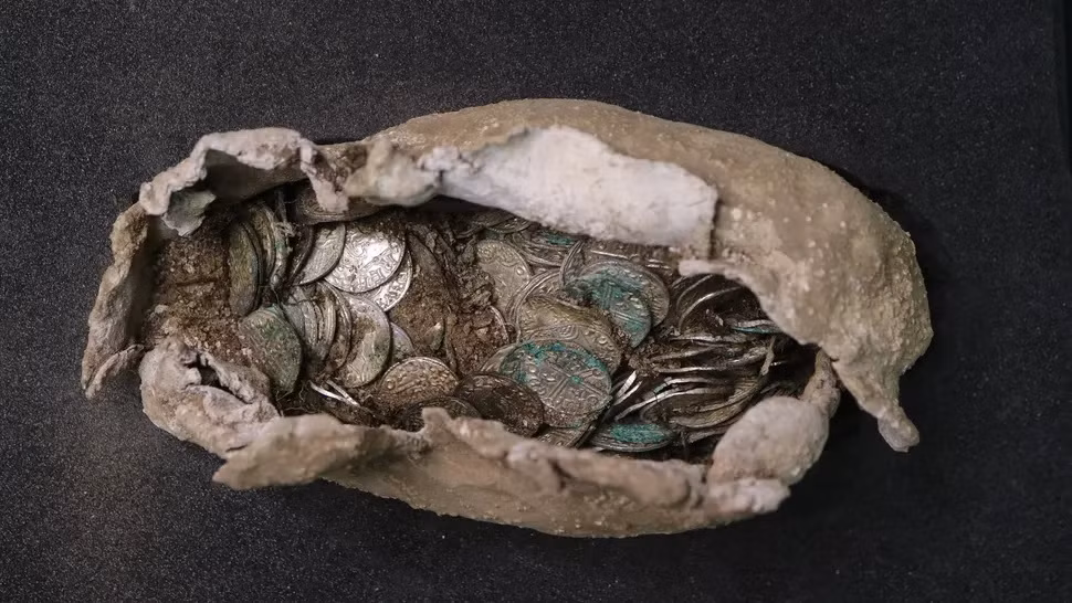 Tại địa điểm xây dựng một nhà máy điện hạt nhân Sizewell ở Anh, các nhà khảo cổ học đã khai quật được 321 đồng xu bạc còn nguyên vẹn. Kho báu tiền cổ này được bọc trong vải và chì. Điều này cho thấy chủ nhân của chúng có thể đã cố gắng bảo vệ chúng khi chôn giấu để tránh bị tịch thu. Ảnh: Oxford Cotswold Archaeology.