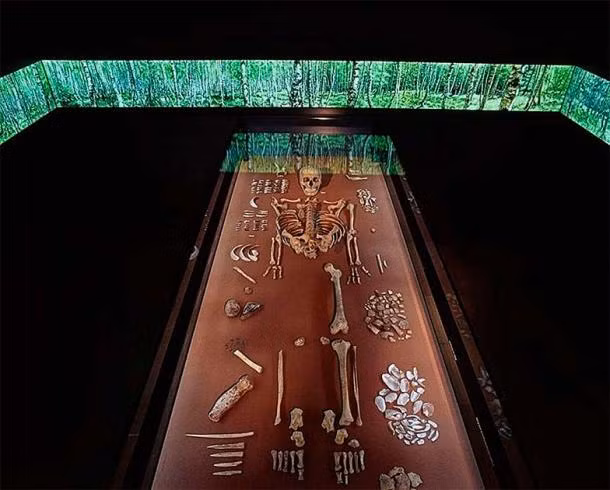 Theo các chuyên gia, nữ pháp sư này có thể qua đời vì áp xe răng lan rộng gây ra bệnh nhiễm trùng trong xoang. Ảnh: State Office for Heritage Management and Archaeology Saxony-Anhalt, Juraj Lipták.