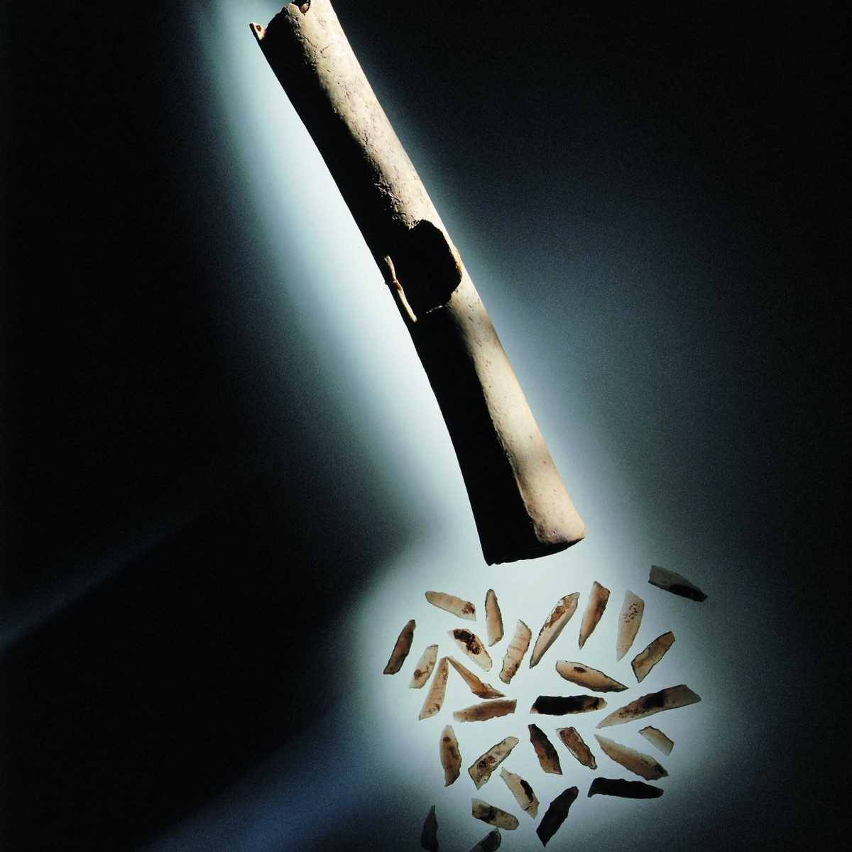 Thay vào đó, đứa trẻ là họ hàng đời thứ tư hoặc thứ năm của người phụ nữ. Ảnh: State Office for Heritage Management and Archaeology Saxony-Anhalt, Juraj Lipták.