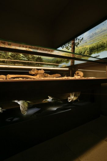 Trong cuộc khai quật tại Bad Dürrenberg, Saxony-Anhalt, Đức năm 1934, các chuyên gia đã phát hiện một quan tài cổ trong ngôi mộ xa hoa của một phụ nữ được cho là nữ pháp sư sống vào thời kỳ Đồ đá giữa châu Âu (khoảng năm 15000 trước Công nguyên đến năm 5000 trước Công nguyên). Ảnh: State Office for Heritage Management and Archaeology Saxony-Anhalt, Juraj Lipták.