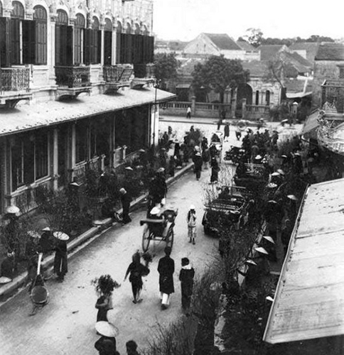 Một góc chợ bán nhiều loại hoa bao gồm hoa đào, hoa mai, thủy tiên...