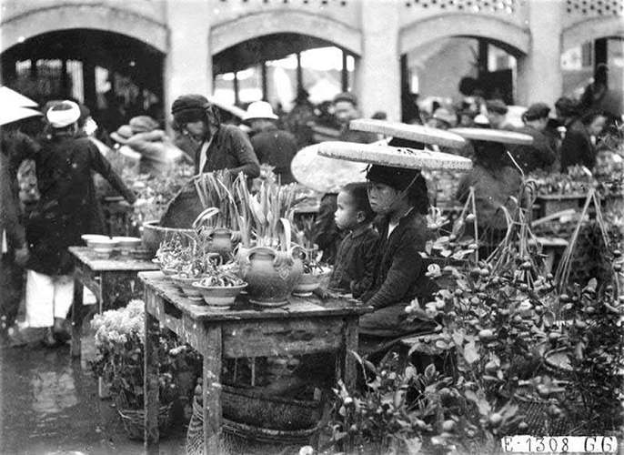 Hoa thủy tiên, quất cảnh... cũng được nhiều người dân mua về để trang trí nhà cửa đón Tết.