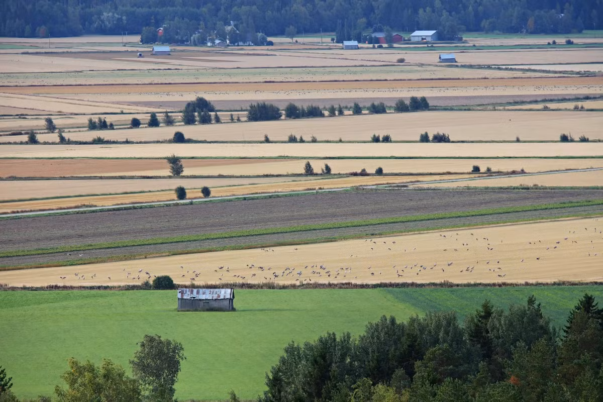 Các nhà khoa học tin rằng, hố va chạm đa giác hình thành do địa chất bên dưới. Các đoạn thẳng của chúng hình thành ở nơi có những cấu trúc như đường đứt gãy hoặc vết nứt khác. Do đó, loại hố này có thể cung cấp bằng chứng về quá khứ địa chất của các hành tinh và mặt trăng vốn khó quan sát từ bên ngoài. Ảnh: APU.