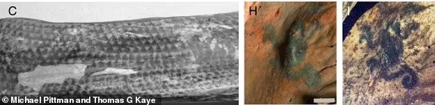 Nhóm nghiên cứu cho biết thêm hình xăm trên những xác ướp của nền văn minh Chancay đều được làm một cách có chủ đích. Những thợ xăm có kỹ năng tuyệt vời khi tạo ra nhiều họa tiết hình học và động vật tinh tế như tác phẩm nghệ thuật. Ảnh: Michael Pittman and Thomas G. Kaye.