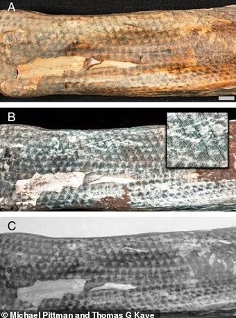 Do các xác ướp ở tình trạng gần như nguyên vẹn nên tạo điều kiện thuận lợi cho giới chuyên gia giải mã những bí mật về người Chancay. Ảnh: Michael Pittman and Thomas G. Kaye.