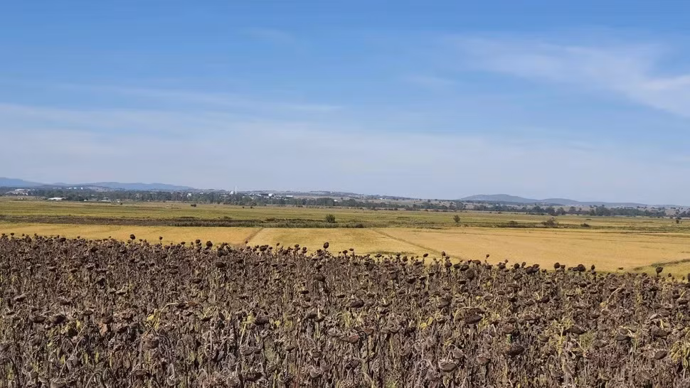 Địa điểm này cách thành phố Biga ở phía tây bắc Thổ Nhĩ Kỳ khoảng 10 km về phía Bắc. Vào năm 334 trước Công nguyên, lực lượng của Alexander Đại đế đã đánh bại lực lượng Ba Tư trên chiến trường. Chiến thắng này giúp Alexander Đại đế thiết lập chỗ đứng trên lãnh thổ Ba Tư và tiến sâu hơn vào Trung Đông. Ảnh: Reyhan Körpe.