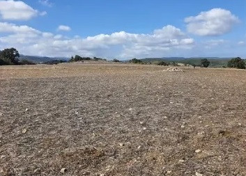 Đáng chú ý, nhóm nghiên cứu của giáo sư Körpe đã xác định được tàn tích của thành phố cổ Hermaion - nơi mà các ghi chép cổ xưa chỉ ra là địa điểm đóng trại cuối cùng trước trận Granicus của quân đội do Alexander Đại đế chỉ huy. Ảnh: Reyhan Körpe.