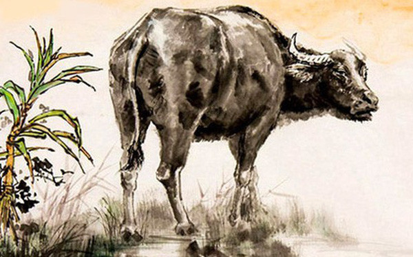 Theo dự đoán cho 12 con giáp, vận thế của người tuổi Sửu ngày 22/1/2025 chậm mà chắc. Tình cảm: Tuổi Sửu đừng gấp gáp, hối thúc bạn bè phải trả lời nhanh. Công việc: Người tuổi Sửu làm chậm mà chắc, tiến độ ổn định. Tiền bạc: Con giáp này cải thiện thu nhập nhờ làm việc cần cù, nỗ lực.