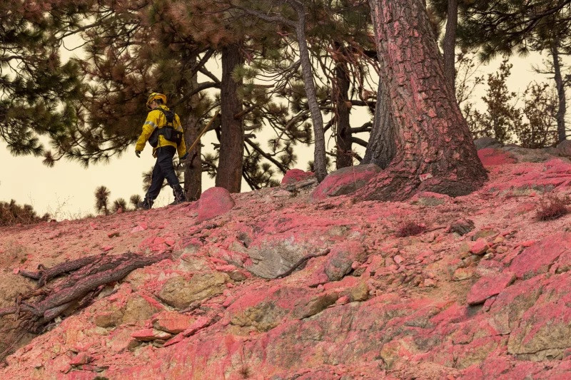 Nước ấm và chất tẩy rửa nhẹ rất hiệu quả trong việc làm sạch bột chữa cháy trên diện tích nhỏ. Trong khi đó, với bề mặt lớn hơn, người dân có thể dùng vòi phun cao áp để làm sạch bột chữa cháy. Ảnh: David McNew/Getty Images.