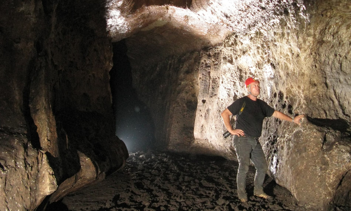 Chế độ ăn của chúng rất khác nhau. Trong đó, cá sấu sống trong hang hầu như chỉ ăn dế và dơi bám trên thành hang. Nhóm nghiên cứu phát hiện chúng thường có tình trạng tốt hơn những con cá sấu sống trong rừng. Họ cho rằng sự khác biệt này có thể là do cá sấu sống trong hang có nhiều con mồi và không có động vật ăn thịt. Ảnh: Olivier Testa.