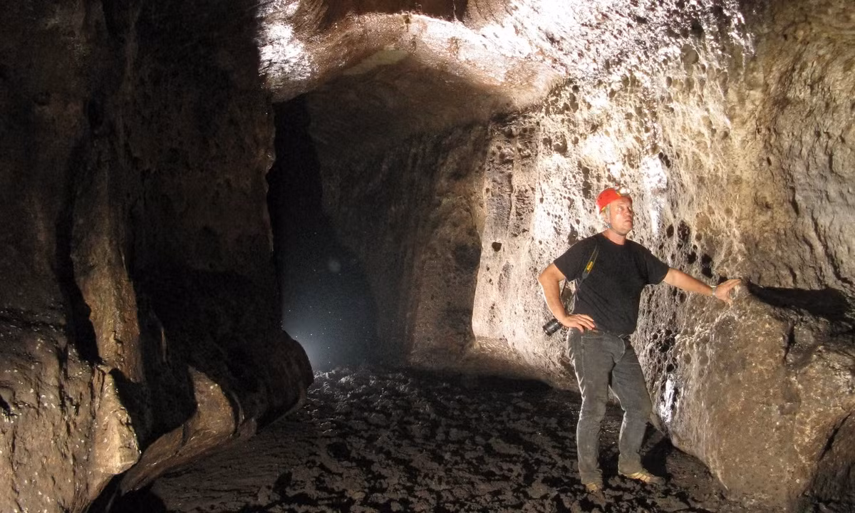 Chế độ ăn của chúng rất khác nhau. Trong đó, cá sấu sống trong hang hầu như chỉ ăn dế và dơi bám trên thành hang. Nhóm nghiên cứu phát hiện chúng thường có tình trạng tốt hơn những con cá sấu sống trong rừng. Họ cho rằng sự khác biệt này có thể là do cá sấu sống trong hang có nhiều con mồi và không có động vật ăn thịt. Ảnh: Olivier Testa.