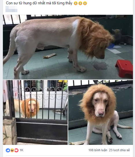 Phat cuong voi hinh anh chu su tu 