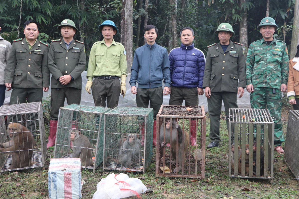 Thả 90 cá thể động vật quý hiếm về môi trường tự nhiên Tha 90 ca the dong vat quy hiem ve moi truong tu nhien