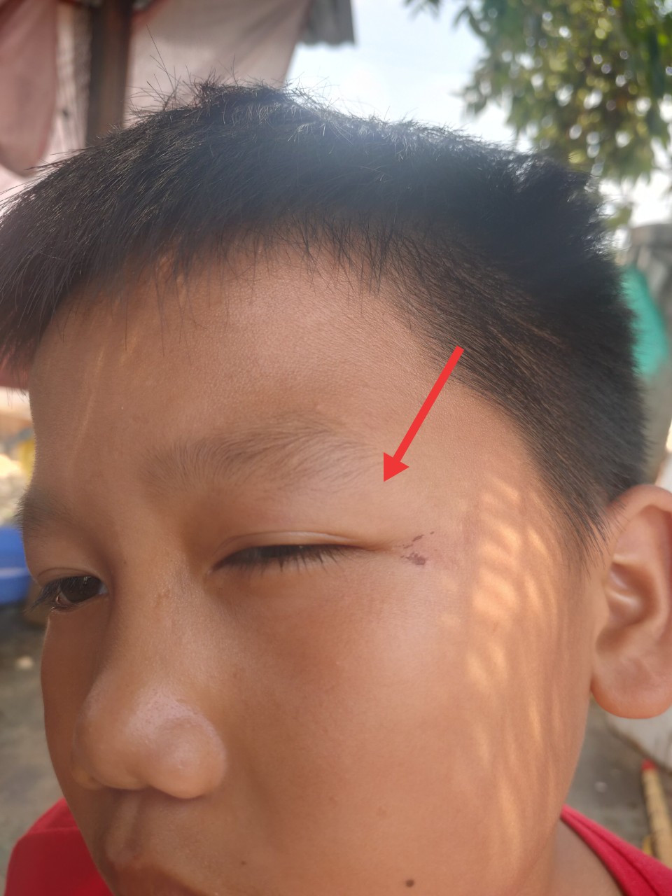 Chuyển hồ sơ xử lý vụ 5 cháu nhỏ bị hàng xóm đánh Chuyen ho so xu ly vu 5 chau nho bi hang xom danh