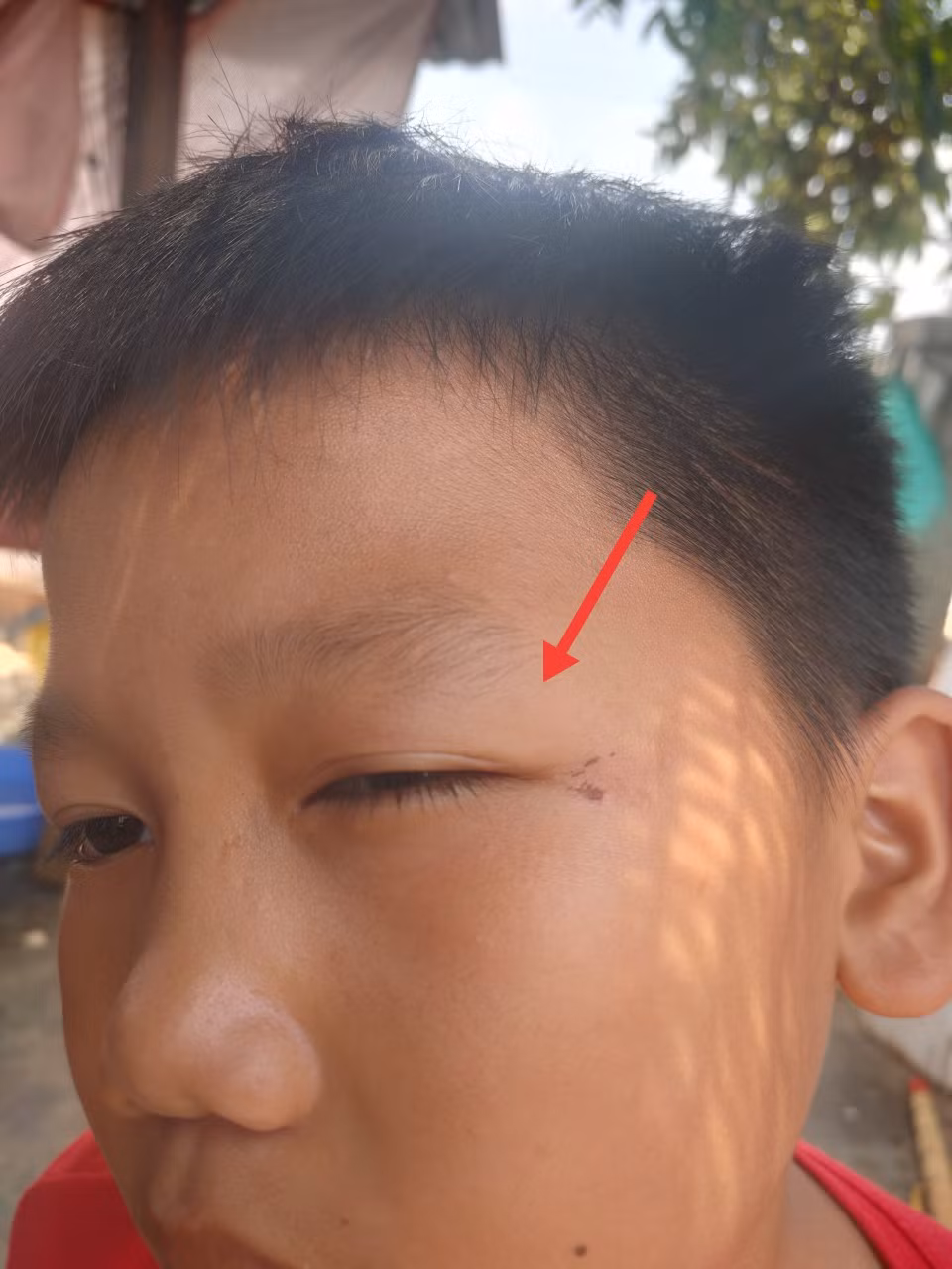 Chuyển hồ sơ xử lý vụ 5 cháu nhỏ bị hàng xóm đánh Chuyen ho so xu ly vu 5 chau nho bi hang xom danh