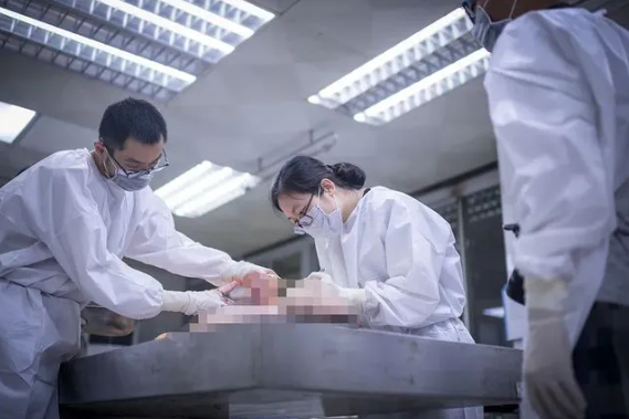 Công an xác định, cháu bé đã tử vong được 5 đến 6 ngày. Trên cơ thể có vào dấu vết bầm tím, tuy nhiên ban đầu chưa thể khẳng định được nguyên nhân dẫn tới việc cháu bé tử vong. Công tác khám nghiệm tử thi được tiến hành, các bác sĩ pháp y nhận thấy nội tạng của cháu bé có dấu hiệu xung huyết. Các căn cứ khoa học bước đầu chỉ ra rằng cái chết của cháu bé là do người khác gây nên. (Ảnh minh họa, nguồn internet)