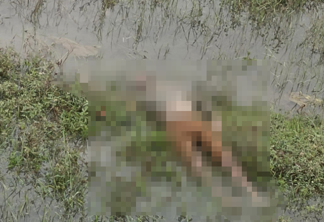 Theo hồ sơ vụ án, khoảng 13h ngày 26/5/2009, Phòng Cảnh sát điều tra tội phạm về trật tự xã hội, Công an TP Hà Nội nhận được tin báo của Công an huyện Mê Linh về việc, khoảng 7h sáng cùng ngày, người dân đi đánh cá đã phát hiện một xác người chết đang trong thời gian phân hủy tại cánh đồng Cùm, xóm Hòa Bình, thị trấn Chi Đông, huyện Mê Linh. (Ảnh minh họa, nguồn internet)