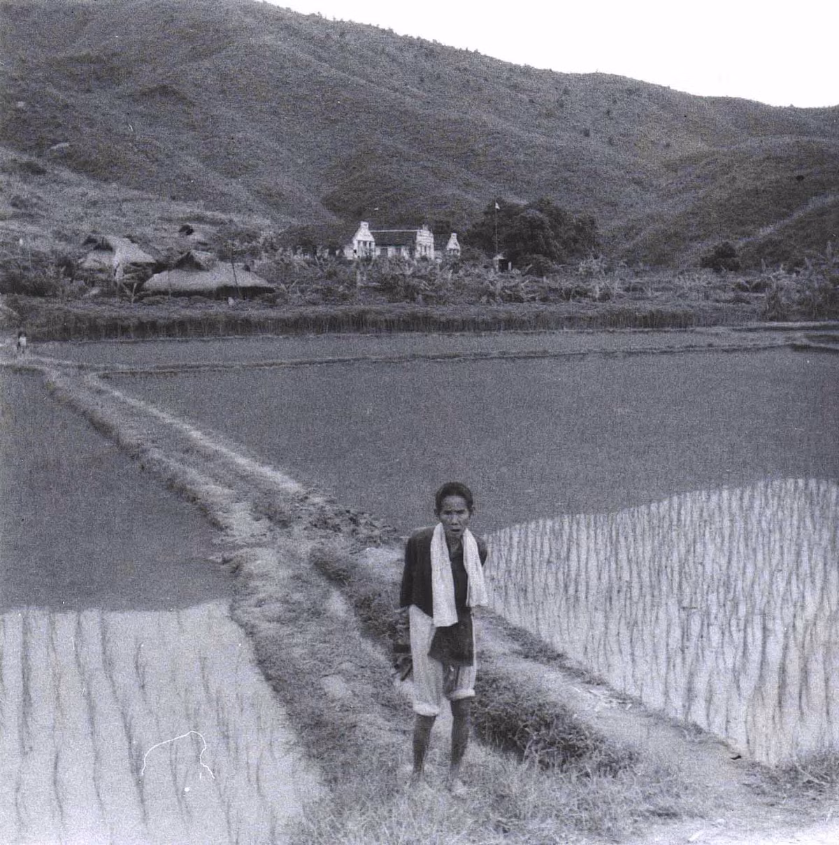 Người nông dân trên bờ ruộng. Ảnh: 19engrvn.org.