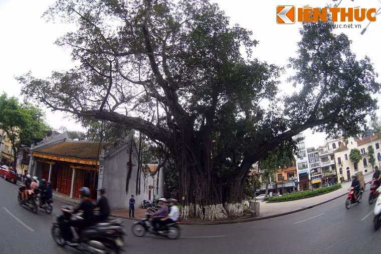 Ngôi đền đã được xếp hạng Di tích lịch sử văn hoá quốc gia vào năm 1994.