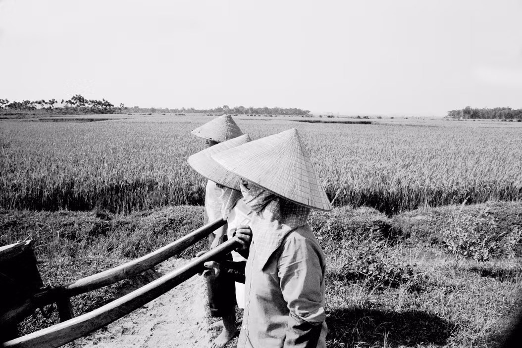 Các nữ nông dân trên cánh đồng mùa gặt. Ảnh: Larry Towell - Magnumphotos.com