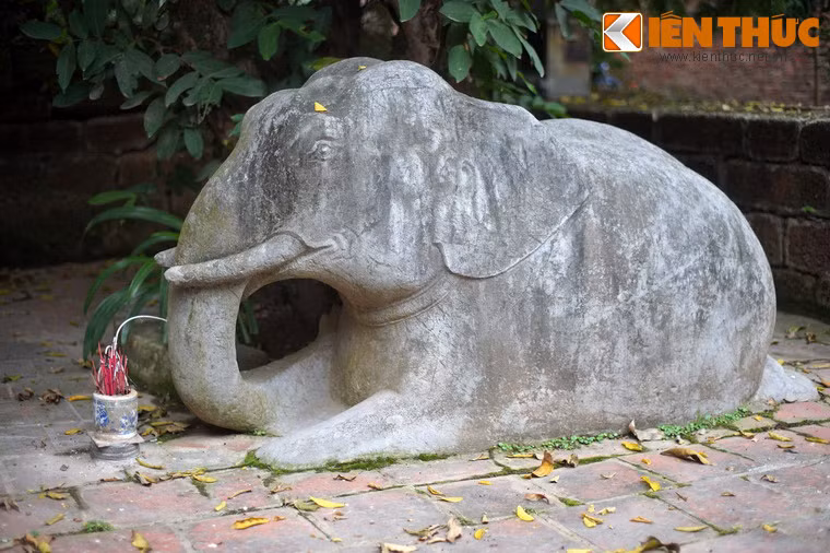 Cận cảnh voi đá ở lăng Phạm Mẫn Trực.